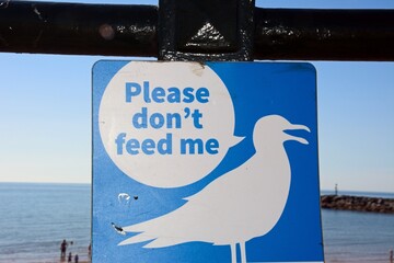 A blue and white Please don’t feed me sign for seagulls alongside the beach with the sea to the rear, Sidmouth, Devon, UK, Europe