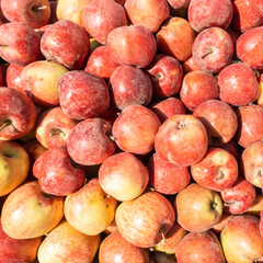 Ripe organic red apples on the farmers market. Close-up apple background. Healthy vegan food.