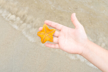 Fototapeta na wymiar Hand holding an orange starfish against the background of the sea and sand, vacation concept