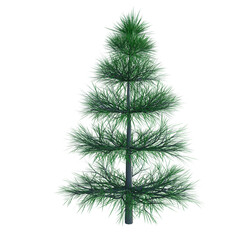 christmas tree isolated