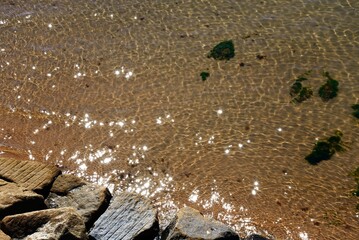 View looking down at the shallow sea water with rocks in the foreground, Sidmouth, Devon, UK, Europe