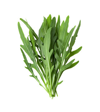 Wild Rocket Leaves Isolated On Transparent Png