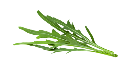 Wild rocket leaves isolated on transparent png