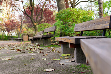 Wooden benches with fallen leaves in autumn park, closeup