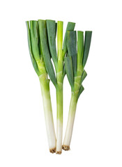 Green japanese bunching onion on transparent png