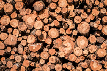 A pile of stacked firewood, prepared for heating the house