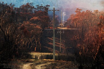 Burnt bush beside powerlines that have been replaced