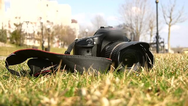 The camera stands on the green grass in the summer in the park in the video	
