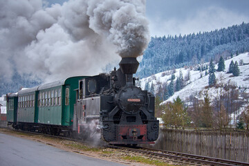 Fototapeta na wymiar narrow gauge train in Bucovina