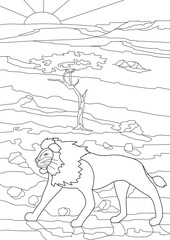 Coloring book for children and adults. Wild animals. Safari. Lion walking on the savannah at sunset