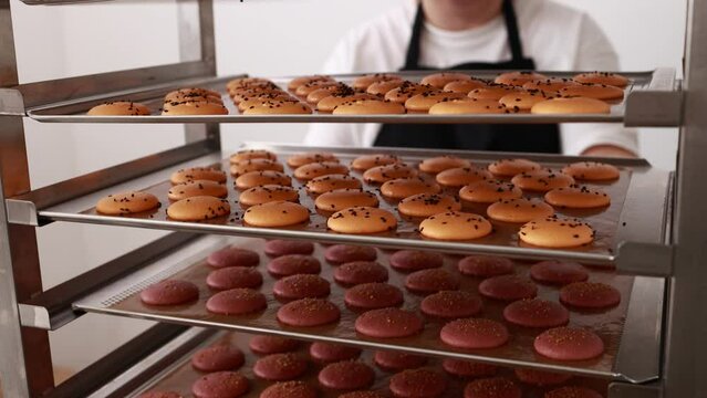 Chef placing a tray full of colorful macarons on a metal shelf with another macaroons, situated in a bakery. Process of making delicious french dessert. Confectionery in the pastry workshop