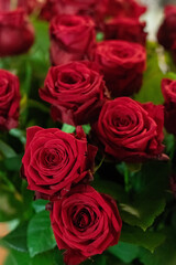 Obraz na płótnie Canvas róża kwiatek czerwony miłość walentynki ślub zaproszenie kochać tło