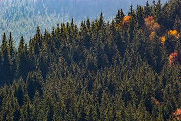 beautiful autumn countryside landscape in Carpathian Mountains, Ukraine