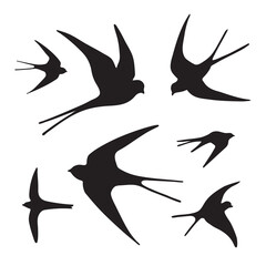 Obraz premium Swallow bird vector illustartions silhouette set.