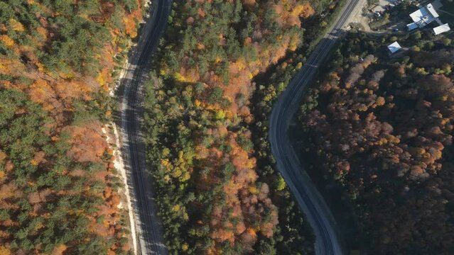 Aerial view of road amidst trees during autumn	