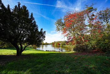 Couple watching the lake of Vincennes Park in a sunny and colorful autumn day