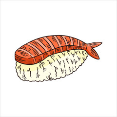 Ebi Sushi or Shrimp on Rice Hand Drawn Illustration