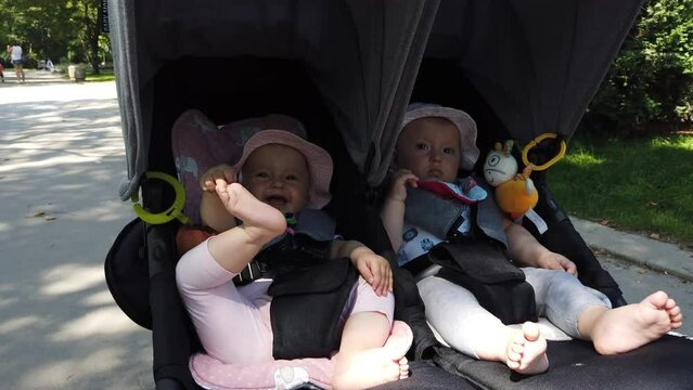 Adorable twin baby girls in stroller, baby carriage in the park