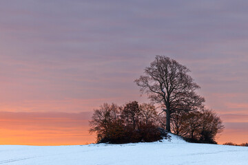 Sunrise in the winter with prehistoric grave hill, Schleswig-Holstein, Germany