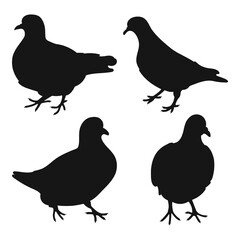 Vector set doves pigeons standing, different pack of wild bird silhouettes hand drawn, isolated vector