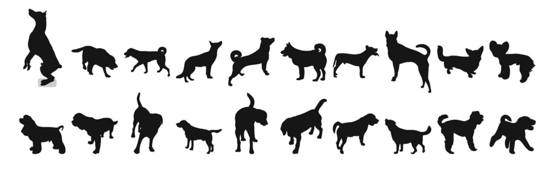 Set of black silhouettes of dogs standing, running position, pack of shapes and figures of pets hand drawn, white background, isolated vector