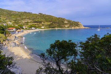 Naklejka premium Cavoli Isola d'Elba