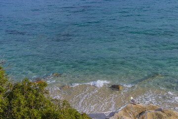 Obraz premium Cavoli Isola d'Elba