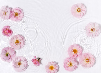 Beautiful floral arrangement in water