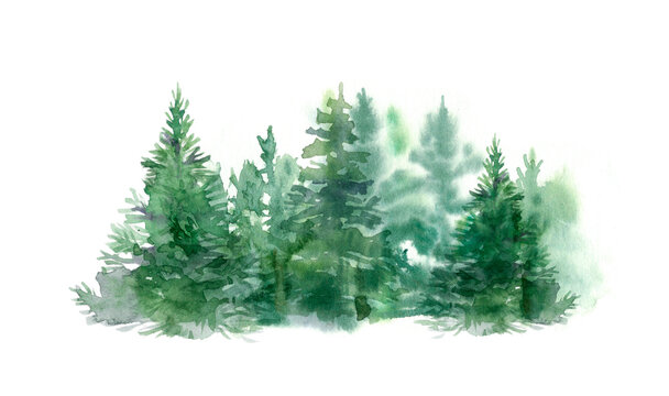 Watercolor forest border. Hand-drawn illustration isolated on the white background © Katia