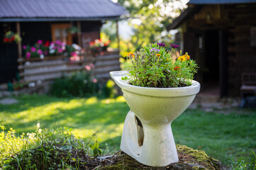 A toilet bowl with flowers planted in it, standing outside