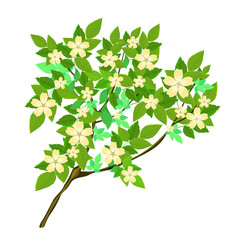 A tree branch with lush green foliage and yellow flowers