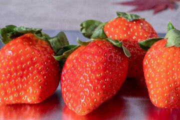 Fresh strawberries just picked from the field