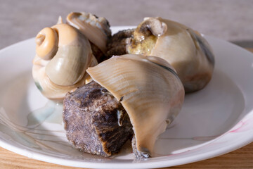 Tasty big conch that has been thoroughly boiled