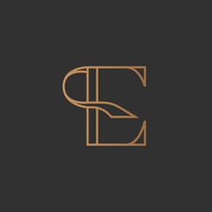 Letter E Elegant Curl Logo Vector. Initial E Typography Icon. E Luxury Alphabet. Modern, Elegant, Luxury Style for Company Brand Identity