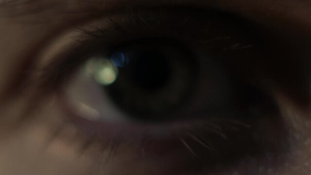 Male eye close-up, pupil and gray-green iris of the eye, vision concept. camera focuses, then unfocuses