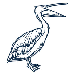 Tropical pelican monochrome detailed logotype