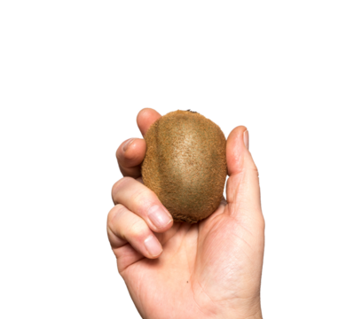A kiwi