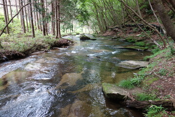 Obraz premium 滝川渓谷