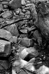 Rocky Stream