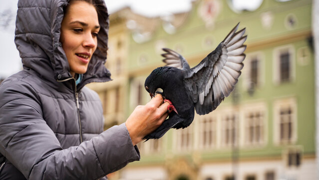 KawkaBilder StockFotos & Videos. Adobe Stock