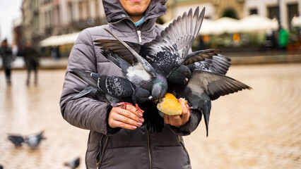 beautiful krakow poland pigeons girl