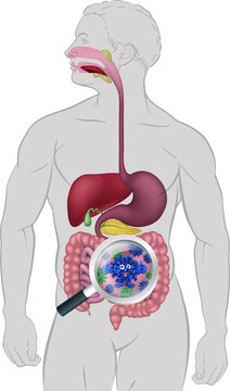 Cartoon Gut Bacteria Digestive Probiotic Flora