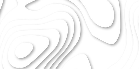 Obraz premium Abstract Luxury paper cut background, Abstract decoration, white pattern lines gradients, 3d Vector illustration, topographic canyon map light relief texture, curved layers.