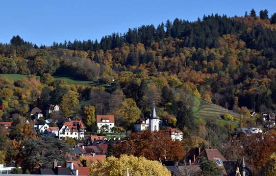 Freiburg-Herdern in Herbstfarben