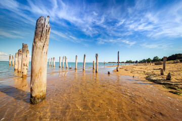Vintage wood poles of rail ramp on the beach of Fort Royer oyster farm site, ile d’Oleron,...