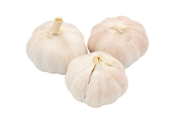 garlic isolated on white background with clipping path inside