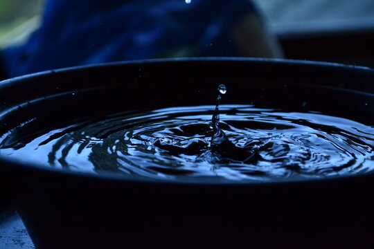 Gotas de agua en la oscuridad - walter in the dark