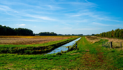 Landscape in a marshland in Bargerveen, Netherlands
