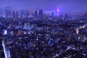Fototapeta na wymiar 初戦当日雨空にサムライブルーにライトアップされた東京タワー