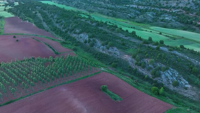 Agricultural landscape of Hortigüela. Aerial view from a drone. Arlanza Valley. Burgos, Castilla y Leon, Spain, Europe